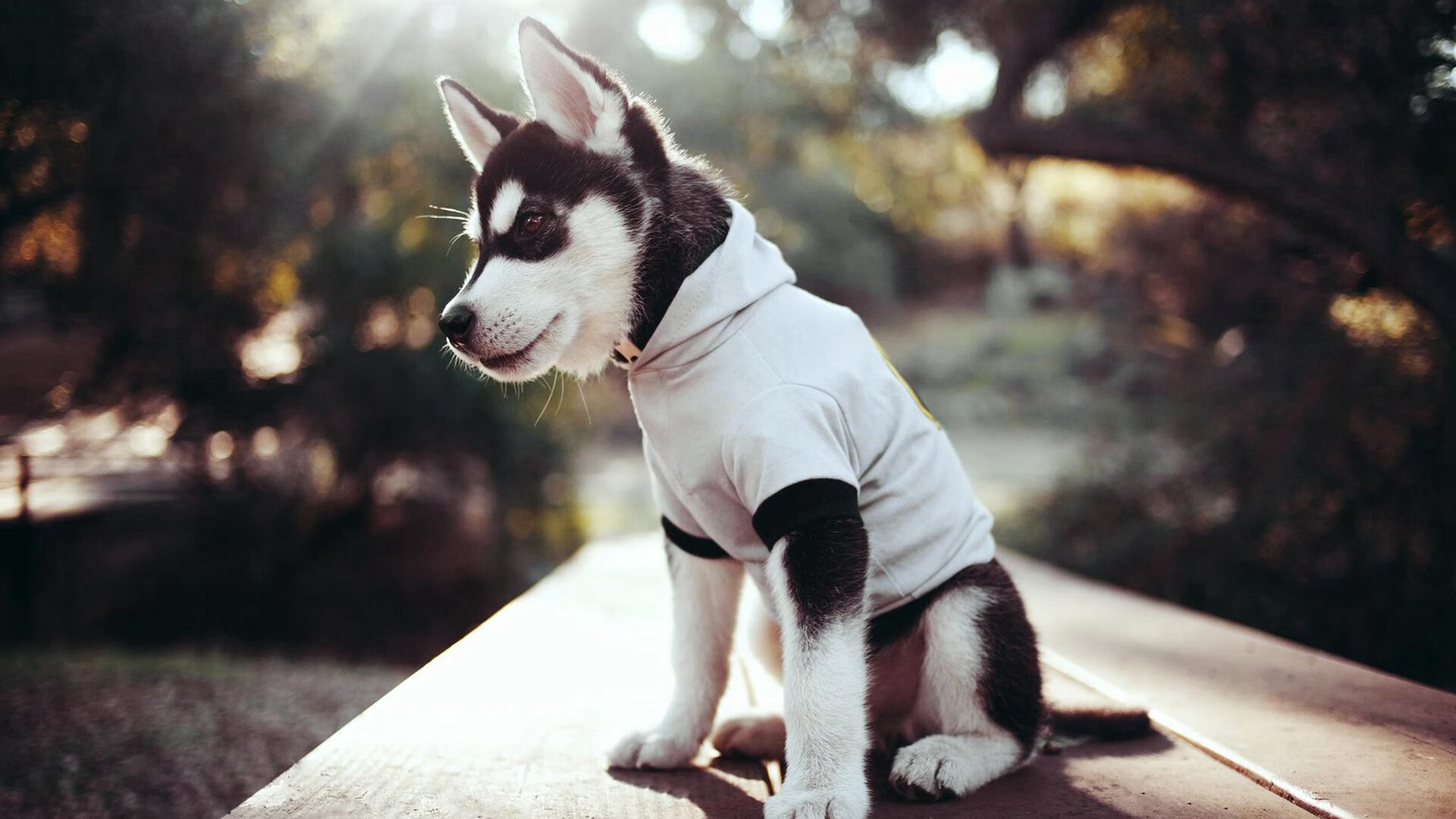 中场永动机,凯塞多如何在对阵沙特的比赛中定义稳定输出新标准