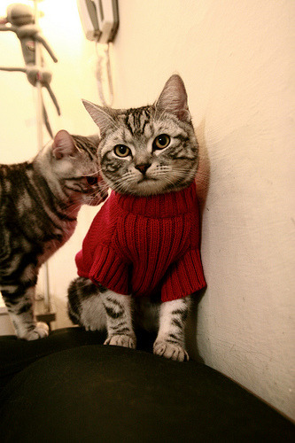 开云体育中国-烽火台前的角斗场，76人斩落太阳，奥运周期关键战的战略回响