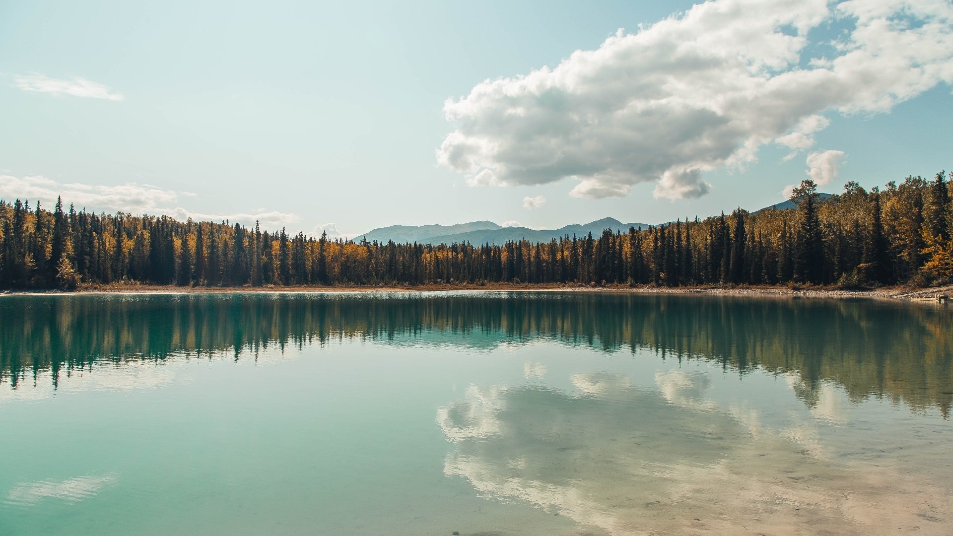 哈弗茨的奇幻之夜，当多特蒙德遇见南非，数据如何全面爆炸？