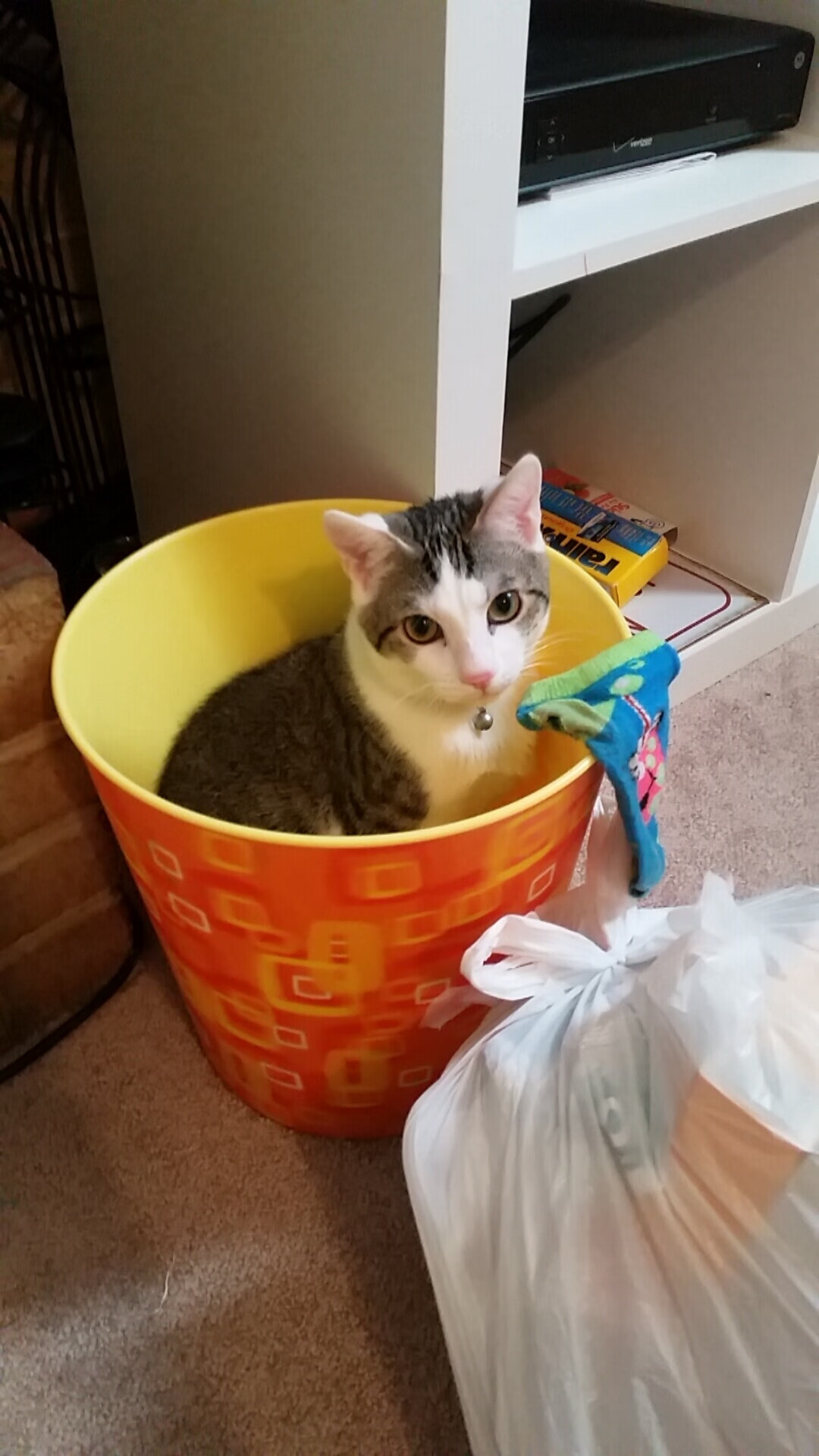 篮球思维点燃绿茵场，喀麦隆用NBA式战术板完成对黄潜的跨界压制