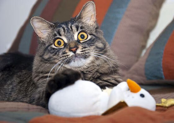 开云体育平台APP-小世界杯预演？2026前哨战—太阳光速击穿广东，为足球盛宴预热