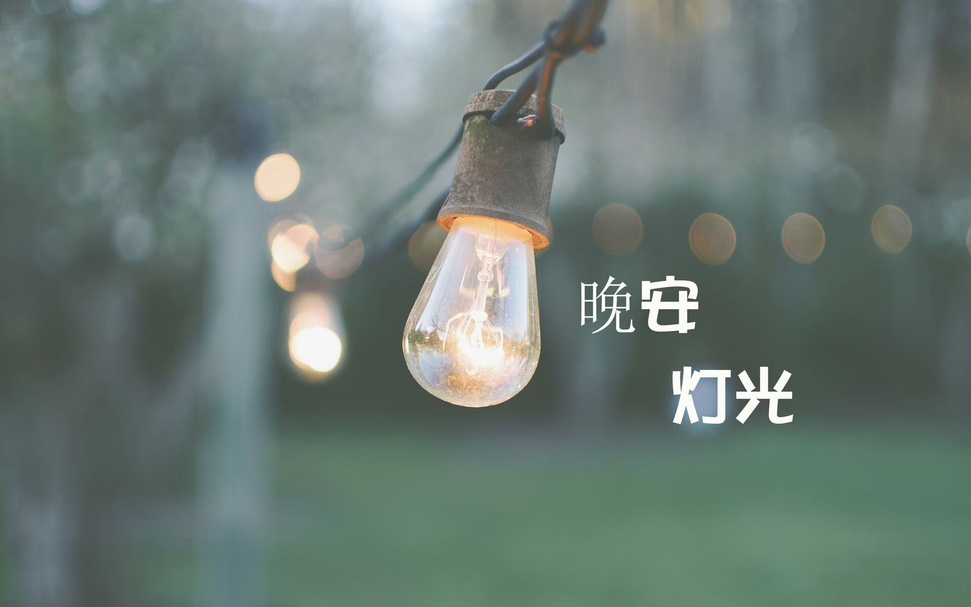 开云体育官网-红蓝交响曲中独舞的努涅斯，当利物浦锋刃刺穿比利时防线