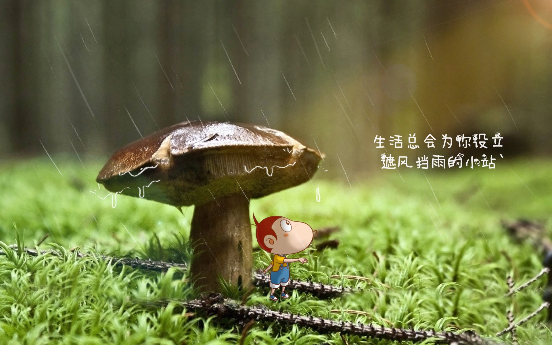 沙漠风暴中的冷雨夜，伊拉克险胜沙特，拉什福德为何在强强对话中改写剧本？