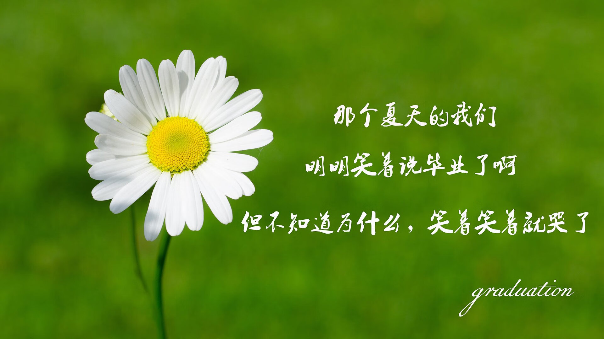紫禁城之巅的古典复仇，2026世界杯F组关键战，苏亚雷斯领乌拉圭血洗西班牙，节奏风暴摧毁斗牛士王朝