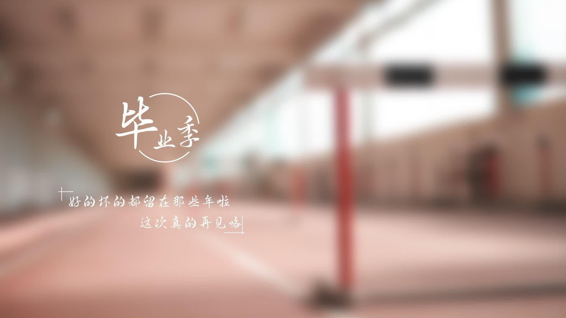 撒哈拉之影与桑巴之魂,当北非雄狮用铁血秩序,扼杀了南美最后的华丽舞步